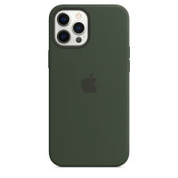 Apple iPhone 12 Pro Max Silikon Case Cyprus Green